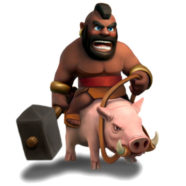 TheViralHog